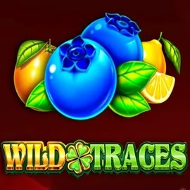Wild Traces slot icon by Amusnet Interactive, available at Sankra Casino